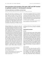 Tài liệu Báo cáo khóa học: Characterization of the products of the genes SNO1 and SNZ1 involved in pyridoxine synthesis in Saccharomyces cerevisiae pptx
