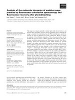 Tài liệu Báo cáo khoa học: Analysis of the molecular dynamics of medaka nuage proteins by ﬂuorescence correlation spectroscopy and ﬂuorescence recovery after photobleaching doc