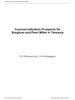 Tài liệu Commercialization Prospects for Sorghum and Pearl Millet in Tanzania pot