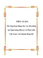 Mở rộng hoạt động cho vay tiêu dùng tại Ngân hàng Đầu tư và Phát triển Việt Nam- Chi nhánh Đông Đô