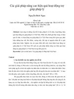 Các giải pháp nâng cao hiệu quả hoạt động trợ giúp pháp lý