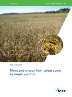 Tài liệu FIBRES AND ENERGY FROM WHEAT STRAW BY SIMPLE PRACTICE pot