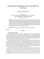 Hình phạt tù chung thân trong luật hình sự việt nam