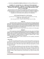 Tài liệu BÁO CÁO 