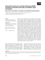 Tài liệu Báo cáo khoa học: Antioxidant defences in cybrids harboring mtDNA mutations associated with Leber’s hereditary optic neuropathy docx