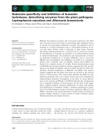 Tài liệu Báo cáo khoa học: Substrate speciﬁcity and inhibition of brassinin hydrolases, detoxifying enzymes from the plant pathogens Leptosphaeria maculans and Alternaria brassicicola ppt