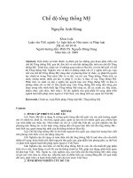 Chế độ tổng thống mỹ