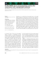 Tài liệu Báo cáo khoa học: Puriﬁed RPE65 shows isomerohydrolase activity after reassociation with a phospholipid membrane pdf