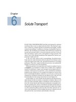 Tài liệu Plant physiology - Chapter 6 Solute Transport pdf