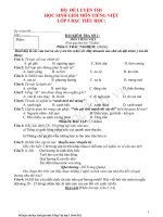 Tài liệu BỘ ĐỀ LUYỆN THI HỌC SINH GIỎI MÔN TIẾNG VIỆT LỚP 5 BẬC TIỂU HỌC pot