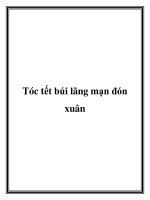 Tài liệu Tóc tết búi lãng mạn đón xuân pdf