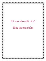 Tài liệu Lãi cao nhờ nuôi cá rô đồng thương phẩm pot
