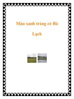 Tài liệu Màu xanh trảng cỏ Bù Lạch pptx