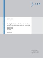 Tài liệu Treating Equals Unequally: Incentives in Teams, Workers'''' Motivation and Production Technology potx