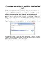 Tài liệu Ngăn người khác xem trộm password lưu trên trình duyệt doc