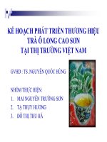 kế hoạch phát triển thương hiệu trà ô long cao sơn tại thị trường việt nam