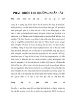 Tài liệu PHÁT TRIỂN THỊ TRƯỜNG NHÂN TÀI pptx