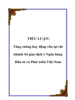 Tài liệu TIỂU LUẬN: Tăng cường huy động vốn tại chi nhánh Sở giao dịch 1 Ngân hàng Đầu tư và Phát triển Việt Nam docx