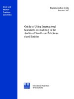 Tài liệu Guide to Using International Standards on Auditing in the Audits of Small- and Medium- sized Entities pptx