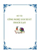 đề tài công nghệ sản xuất snack gạo
