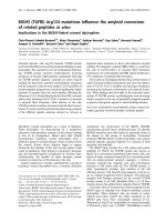 Tài liệu Báo cáo Y học: BIGH3 (TGFBI) Arg124 mutations inﬂuence the amyloid conversion of related peptides in vitro Implications in the BIGH3-linked corneal dystrophies pptx