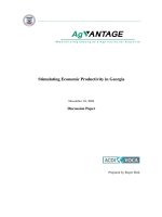 Tài liệu Stimulating Economic Productivity in Georgia docx