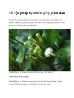 Tài liệu 10 liệu pháp tự nhiên giúp giảm đau pot