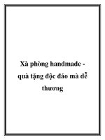 Tài liệu Xà phòng handmade quà tặng độc đáo mà dễ thương pot