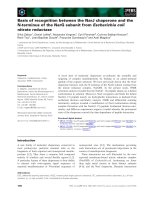 Tài liệu Báo cáo khoa học: Basis of recognition between the NarJ chaperone and the N-terminus of the NarG subunit from Escherichia coli nitrate reductase pdf