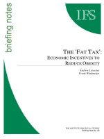 Tài liệu THE ''''FAT TAX'''': ECONOMIC INCENTIVES TO REDUCE OBESITY pdf