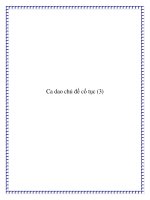 Tài liệu Những bài ca dao chủ đề cổ tục pot