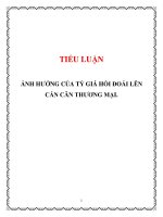 Tài liệu TIỂU LUẬN: ẢNH HƯỞNG CỦA TỶ GIÁ HỐI ĐOÁI LÊN CÁN CÂN THƯƠNG MẠI pdf