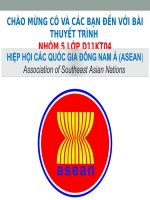 HIỆP HỘI CÁC QUỐC GIA ĐÔNG NAM Á (ASEAN)