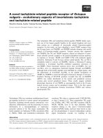 Tài liệu Báo cáo khoa học: A novel tachykinin-related peptide receptor of Octopus vulgaris – evolutionary aspects of invertebrate tachykinin and tachykinin-related peptide ppt