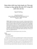 Hoàn thiện chiến lược kinh doanh của viện máy và dụng cụ công nghiệp đến năm 2015 trong bối cảnh toàn cầu hóa