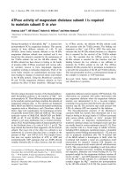 Tài liệu Báo cáo khoa học: ATPase activity of magnesium chelatase subunit I is required to maintain subunit D in vivo ppt