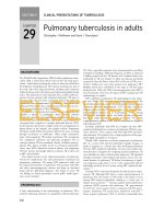 Tài liệu PULMONARY TUBERCULOSIS IN ADULTS doc