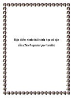 Tài liệu Đặc điểm sinh thái sinh học cá sặc rằn (Trichogaster pectoralis) doc