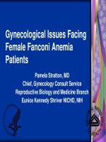 Tài liệu Gynecological Issues Facing Female Fanconi Anemia Patients ppt