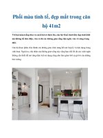 Tài liệu Phối màu tinh tế, đẹp mắt trong căn hộ 41m2 pptx