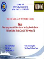 Slide thực trạng sản xuất hồ tiêu của các  hộ nông dân trên địa bàn xã cam nghĩa, huyện cam lộ, tỉnh quảng trị