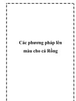 Tài liệu Các phương pháp lên màu cho cá Rồng pptx