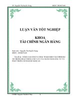 NÂNG CAO CHẤT LƯỢNG THẨM ĐỊNH TÀI CHÍNH DỰ ÁN TRONG HOẠT ĐỘNG CHO VAY CỦA NGÂN HÀNG ĐẦU TƯ VÀ PHÁT TRIỂN CHI NHÁNH NGHỆ AN