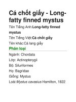 Tài liệu Cá chốt giấy - Longfatty finned mystus pptx