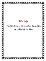 Tài liệu Tiểu luận: Tìm hiểu Công ty Cổ phần Xây dựng, Dịch vụ và Hợp tác lao động pot