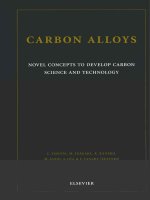 Tài liệu CARBON ALLOYSNOVEL CONCEPTS TO DEVELOP CARBON SCIENCE A N D TECHNOLOGYE. YASUDA, M. INAGAKI 10/2007 ppt