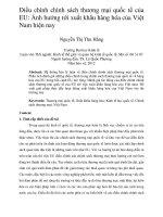 Điều chình chính sách thương mại quốc tế của EU ảnh hưởng tới xuất khẩu hàng hóa của việt nam hiện nay