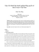 Góp vốn thành lập doanh nghiệp bằng quyền sở hữu trí tuệ ở việt nam