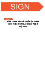 Hình thành và phát triển tập đoàn kinh tế đa ngành, Đa lĩnh vực ở việt nam