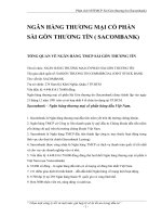 phân tíchngân hàng thương mại cổ phần sài gòn thương tín (sacombank)